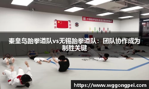 秦皇岛跆拳道队vs无锡跆拳道队：团队协作成为制胜关键